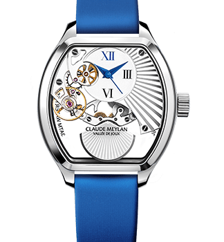 Claude Meylan – Tortue Lady “Soleillé”